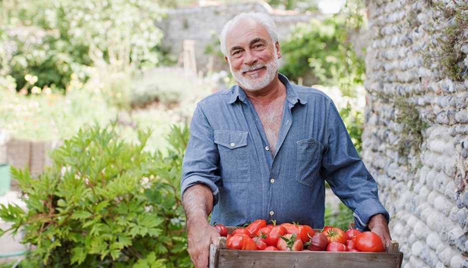 A man carrying a crate of ripe tomatoes in a garden