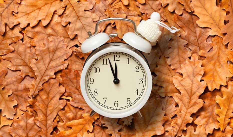 A close-up view of an alarm clock laying on fallen autumn leaves