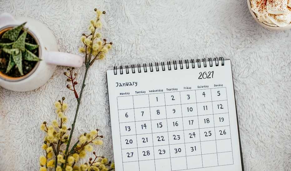 A January 2021 calendar with plants around it on a desk