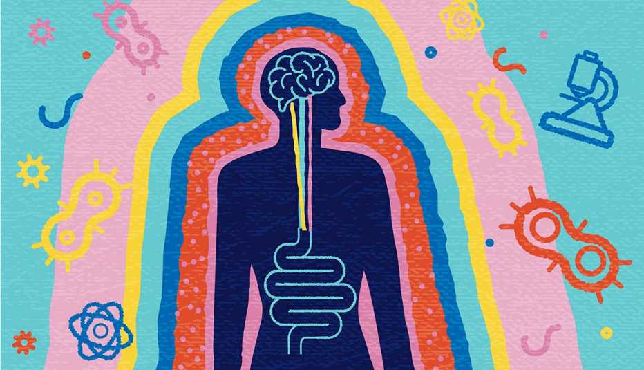 An illustration of a silhouette of a human with a brain and intestines surrounded by gut bacterium