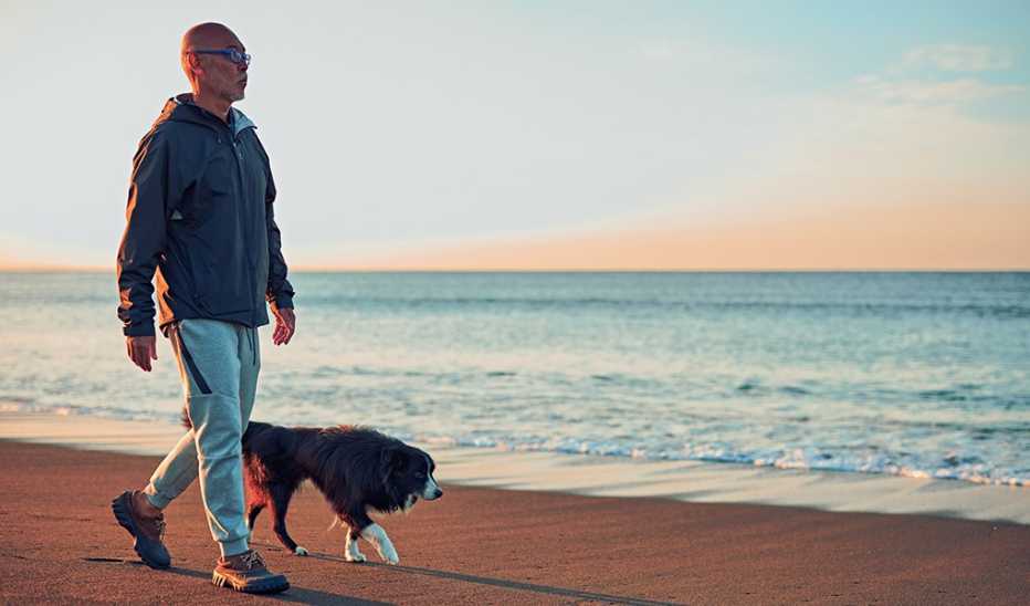 A man and dog taking a morning walk on a beach