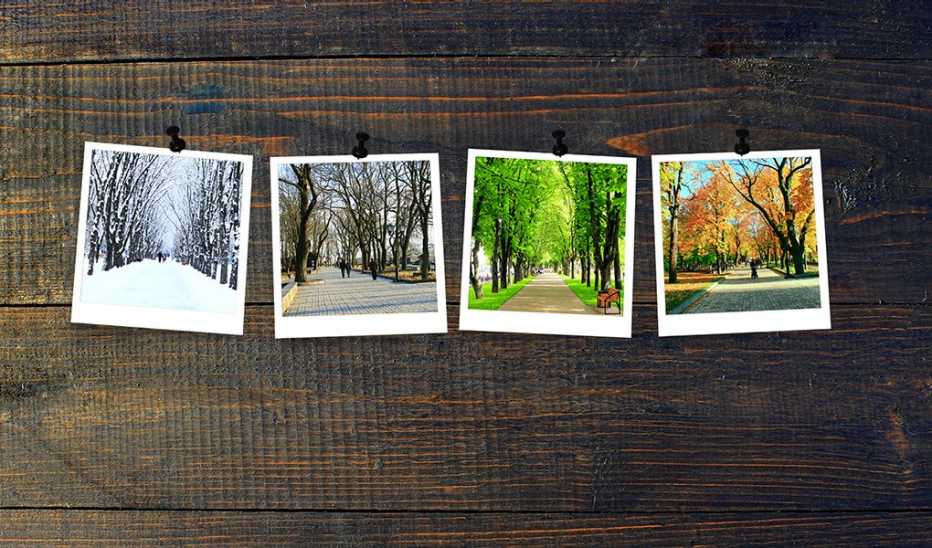 Photos of all four seasons hanging by thumb tacks on a dark wooden background