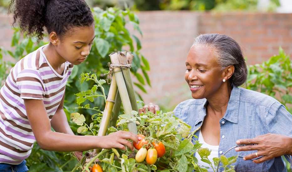 A woman and girl picking fruit together outside