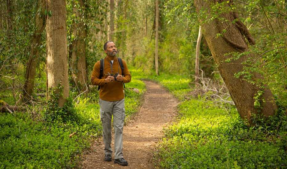 A man walking on a path in a forest looking up and holding binoculars