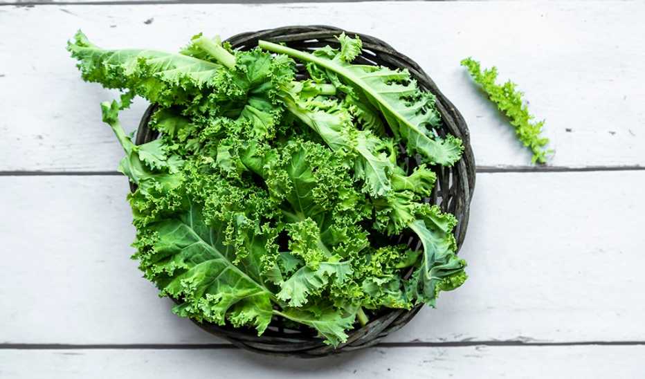A close-up view of a bowl of kale