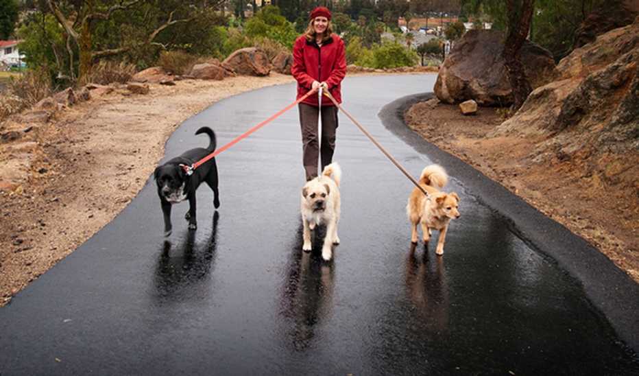 A woman walking three dogs on a rainy day