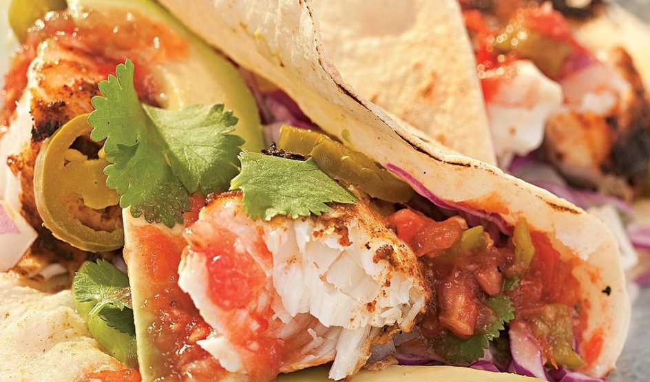 A close-up view of grilled fish tacos