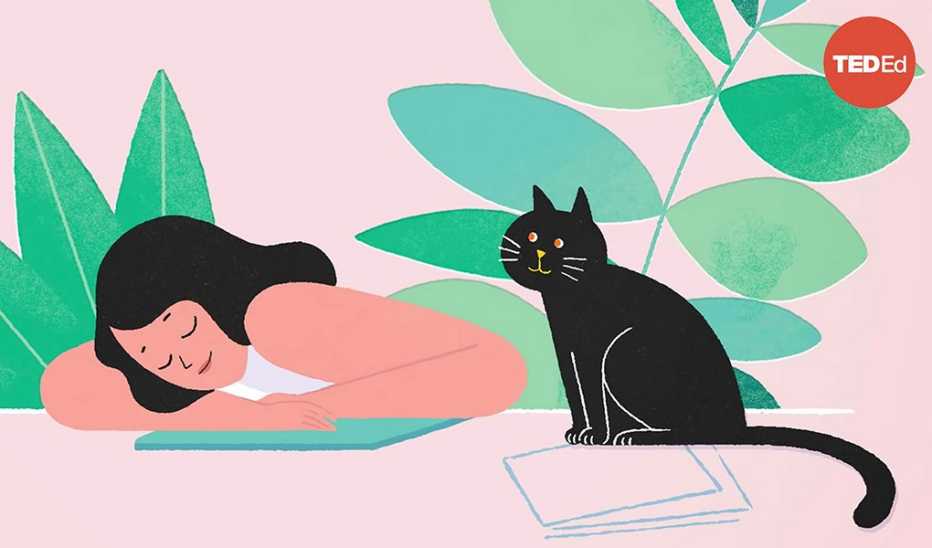 An illustration of a woman sleeping with a cat sitting beside her