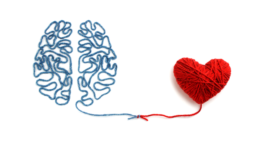 A brain and heart made of yarn connected to each other