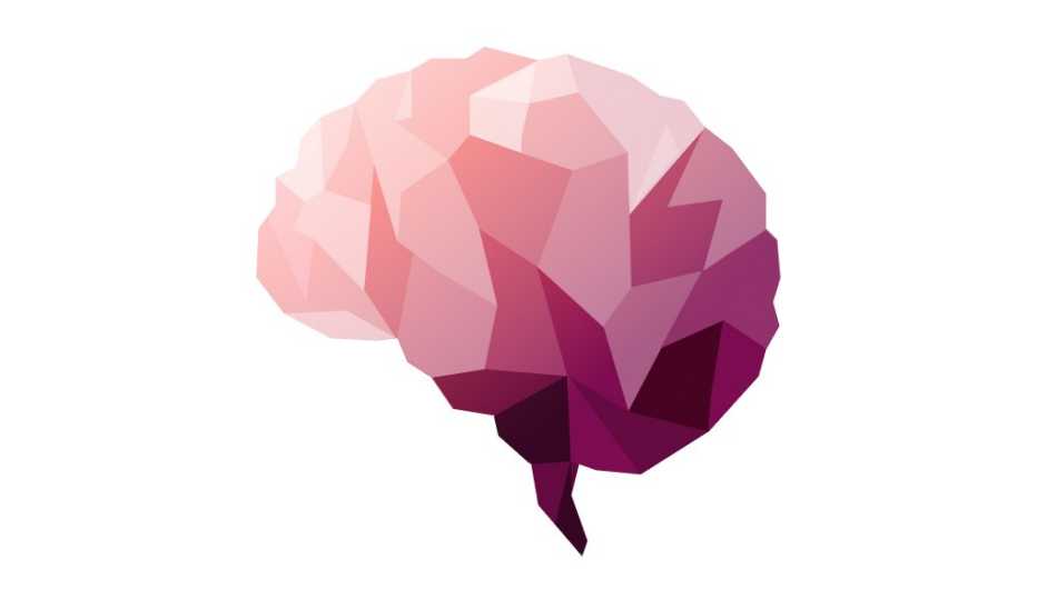 A pink brain palette